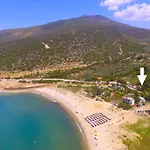 アパート Mulberry *