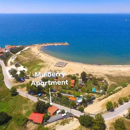 Daire Mulberry Skála Marión